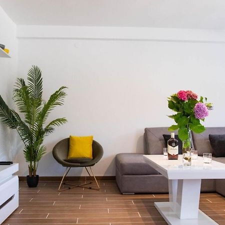 Campi D'Oro Apartment Kotor Bagian luar foto